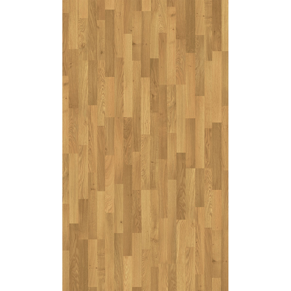 Parador Laminat Basic 400 Eiche Natur Bild 2