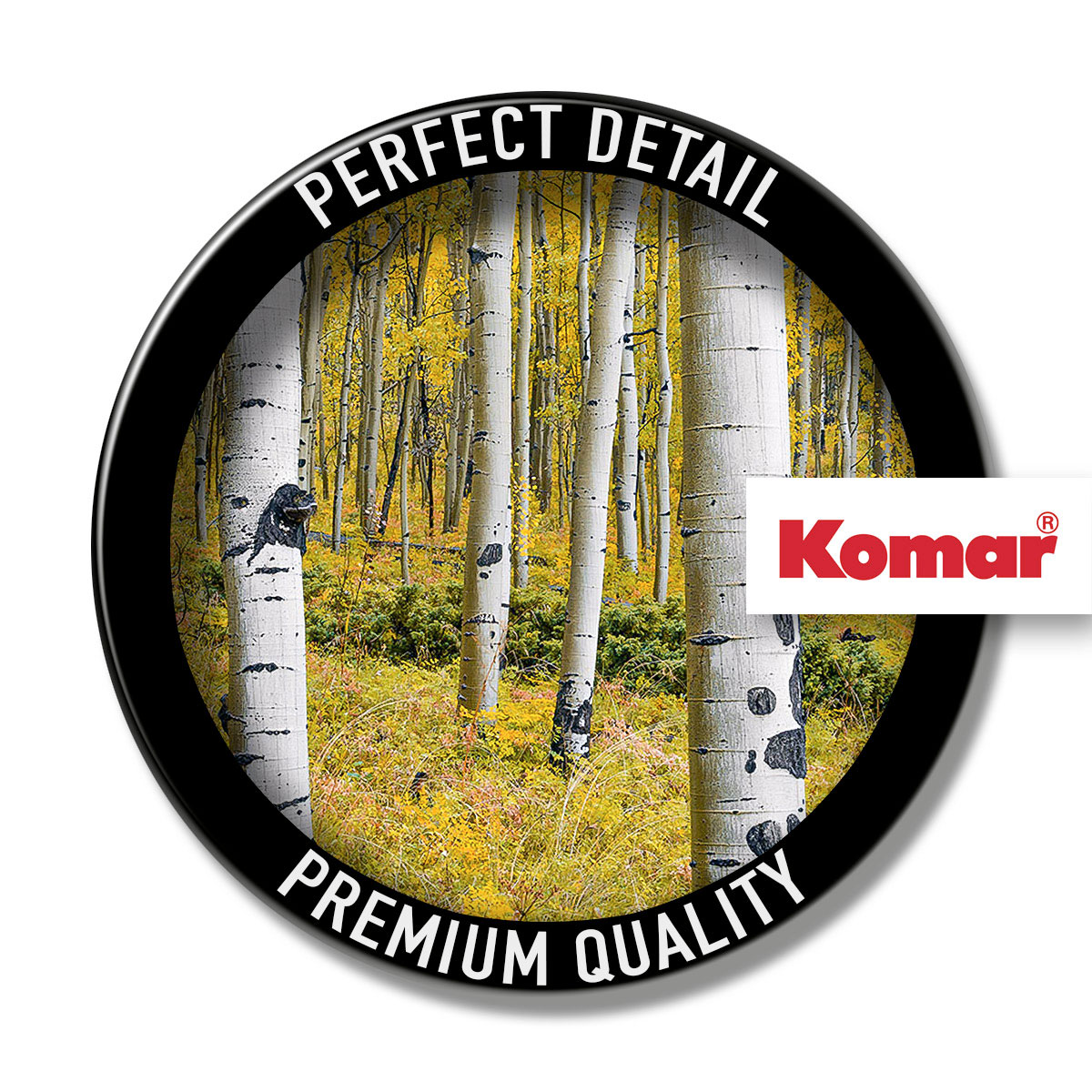 Komar  Vlies Fototapete Orange Forest 400x250 cm Bild 9