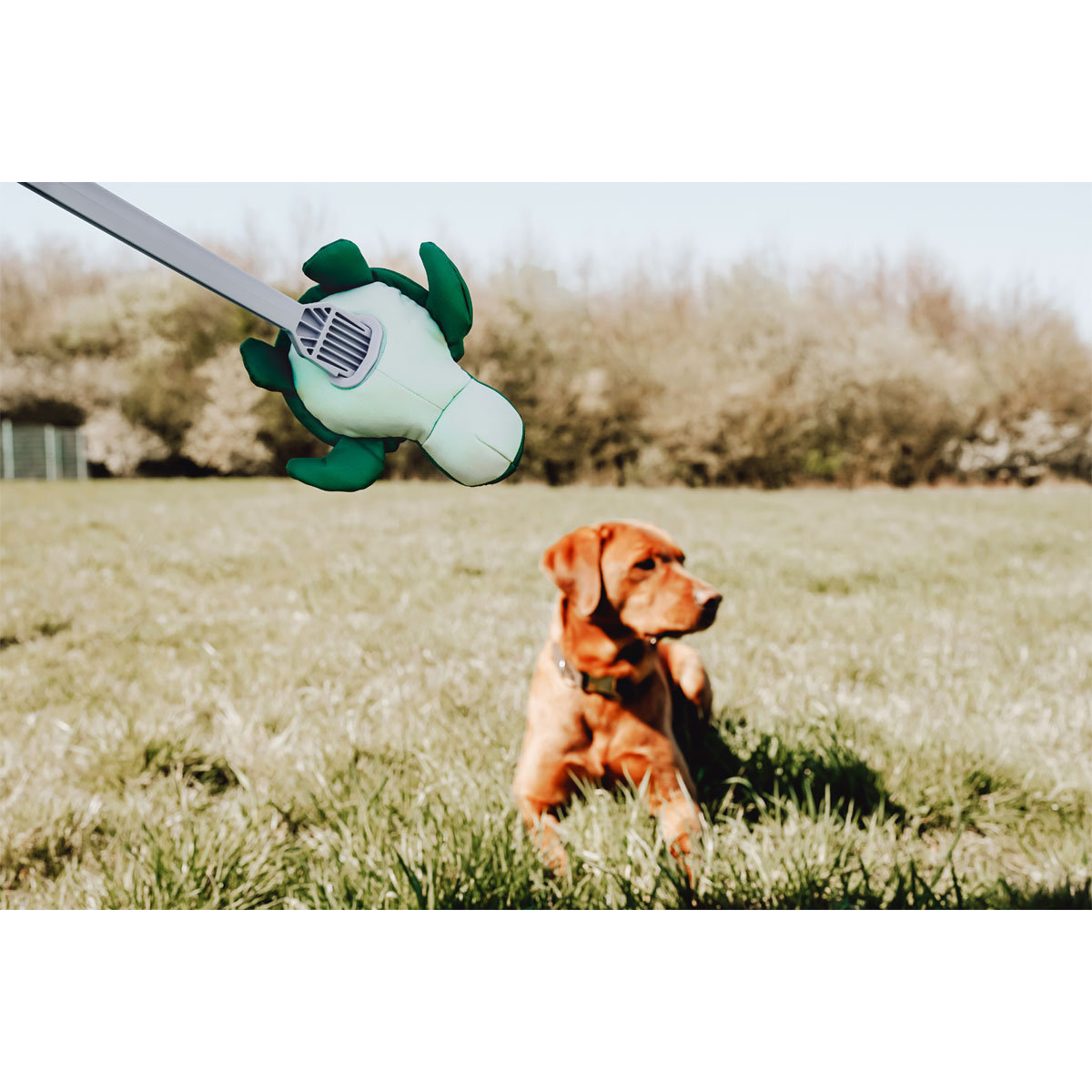 Hunter Wurf-Hundepielzeug Flingerz Schildkröte Splash Bild 7