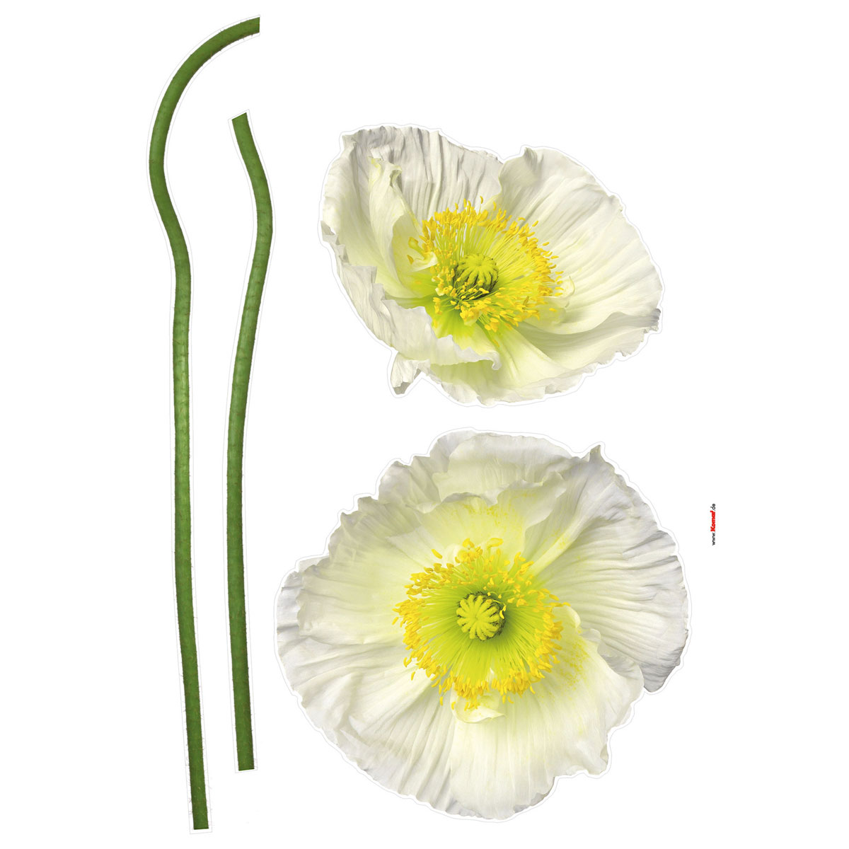 Komar  Wandtattoo Pavot Blanc 50x70 cm Bild 2