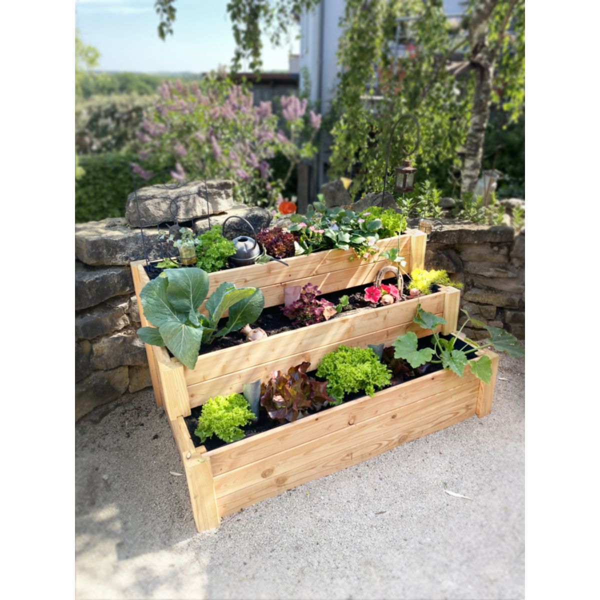 Westmann Hochbeet Anna 76x120x64cm Bild 6