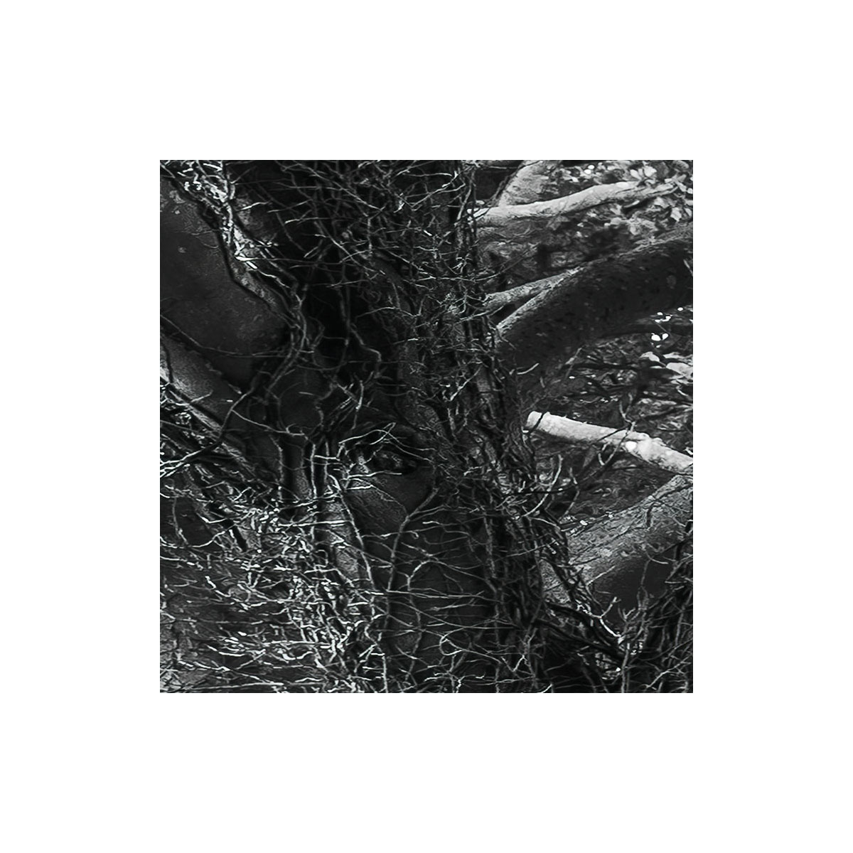 Komar  Vlies Fototapete Forevenue 250x280 cm Bild 3