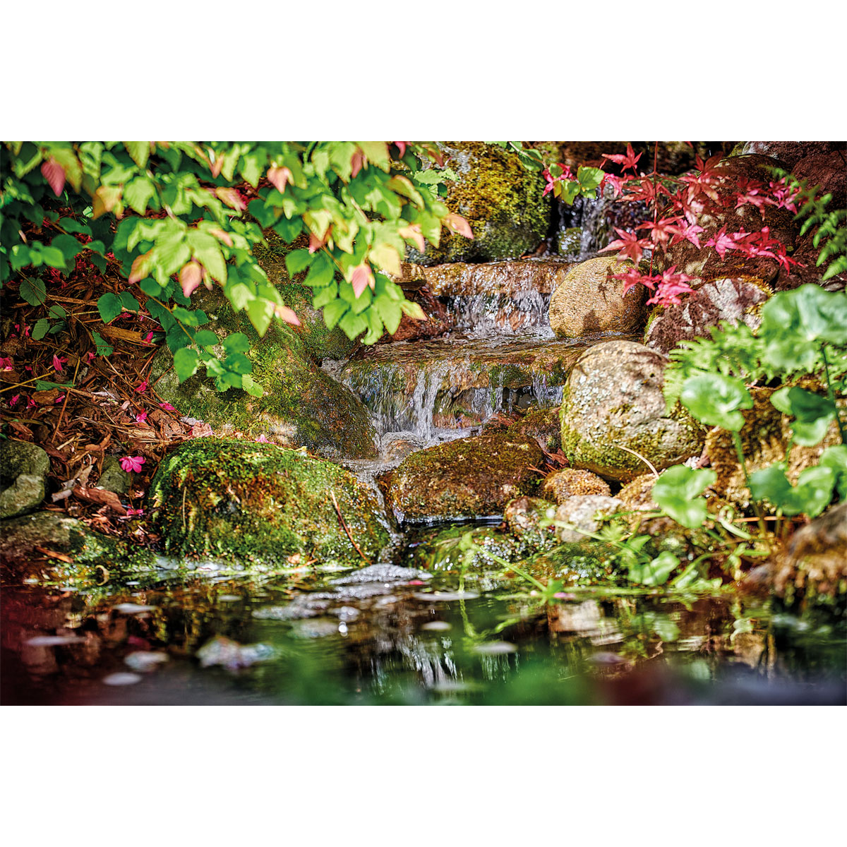 Oase Pontec PondoMax Eco 8500 C Bild 3