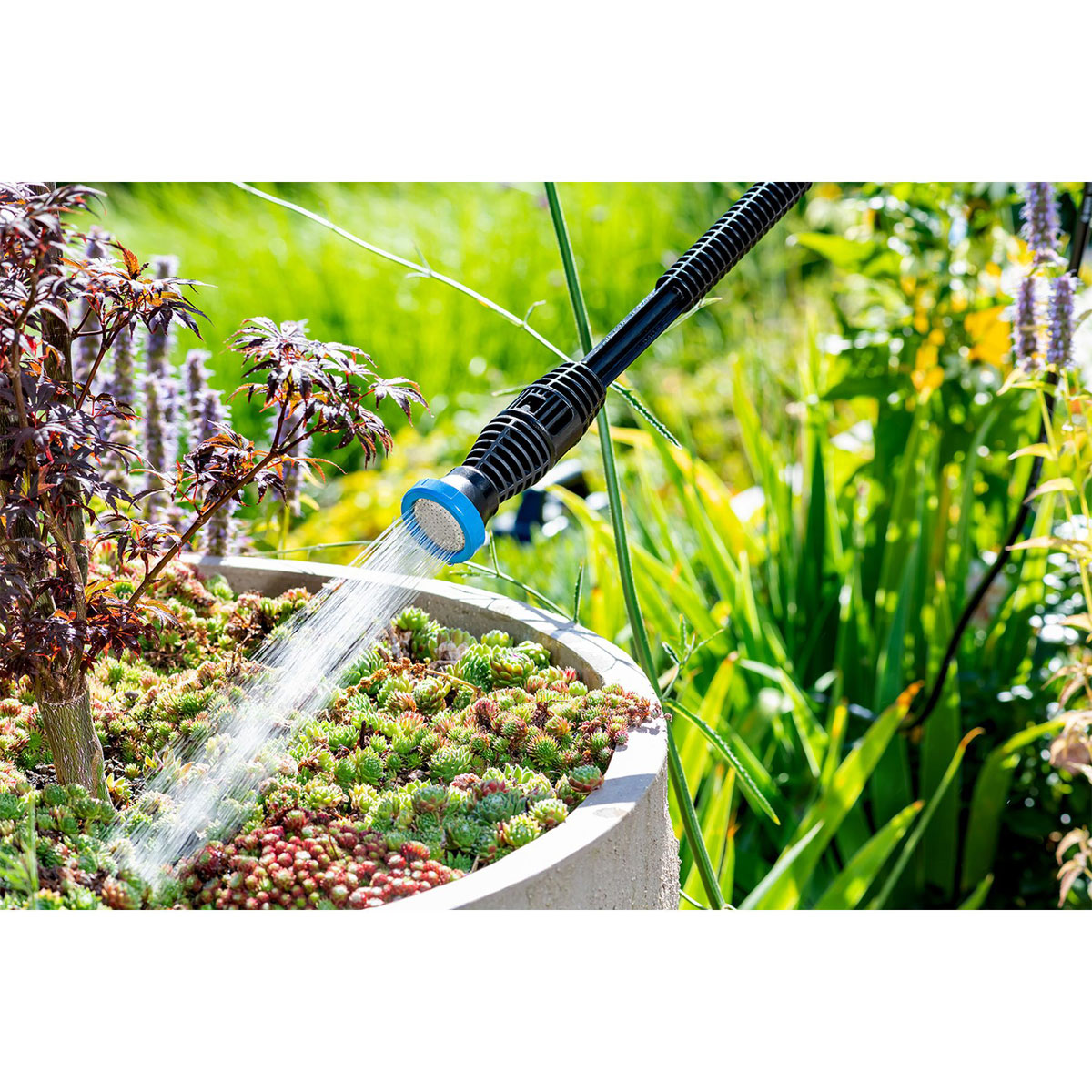 Gloria Akku-Mitteldruckreiniger-Set Multi Jet 2-teilig Bild 2