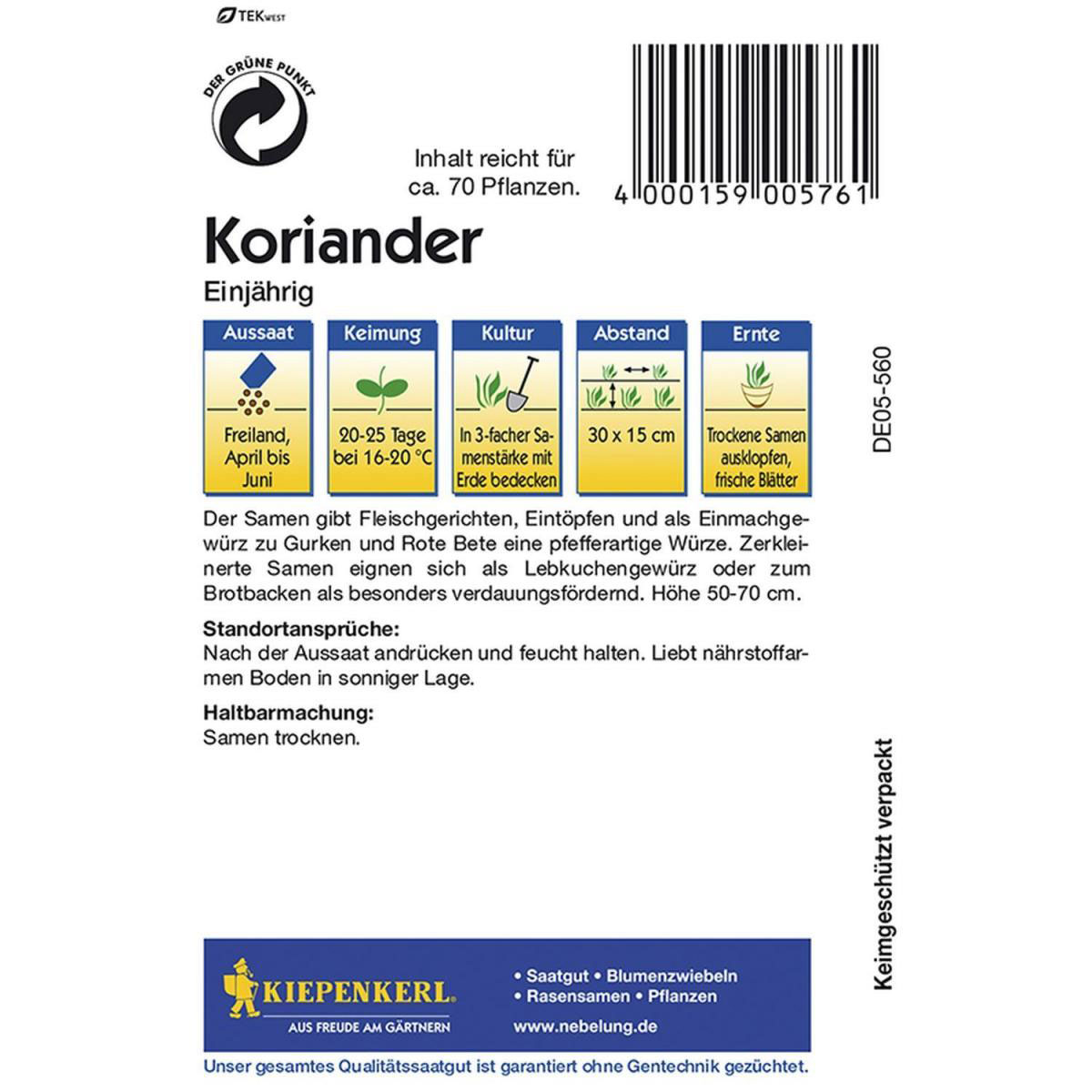 Kiepenkerl Koriander einjährig Bild 2