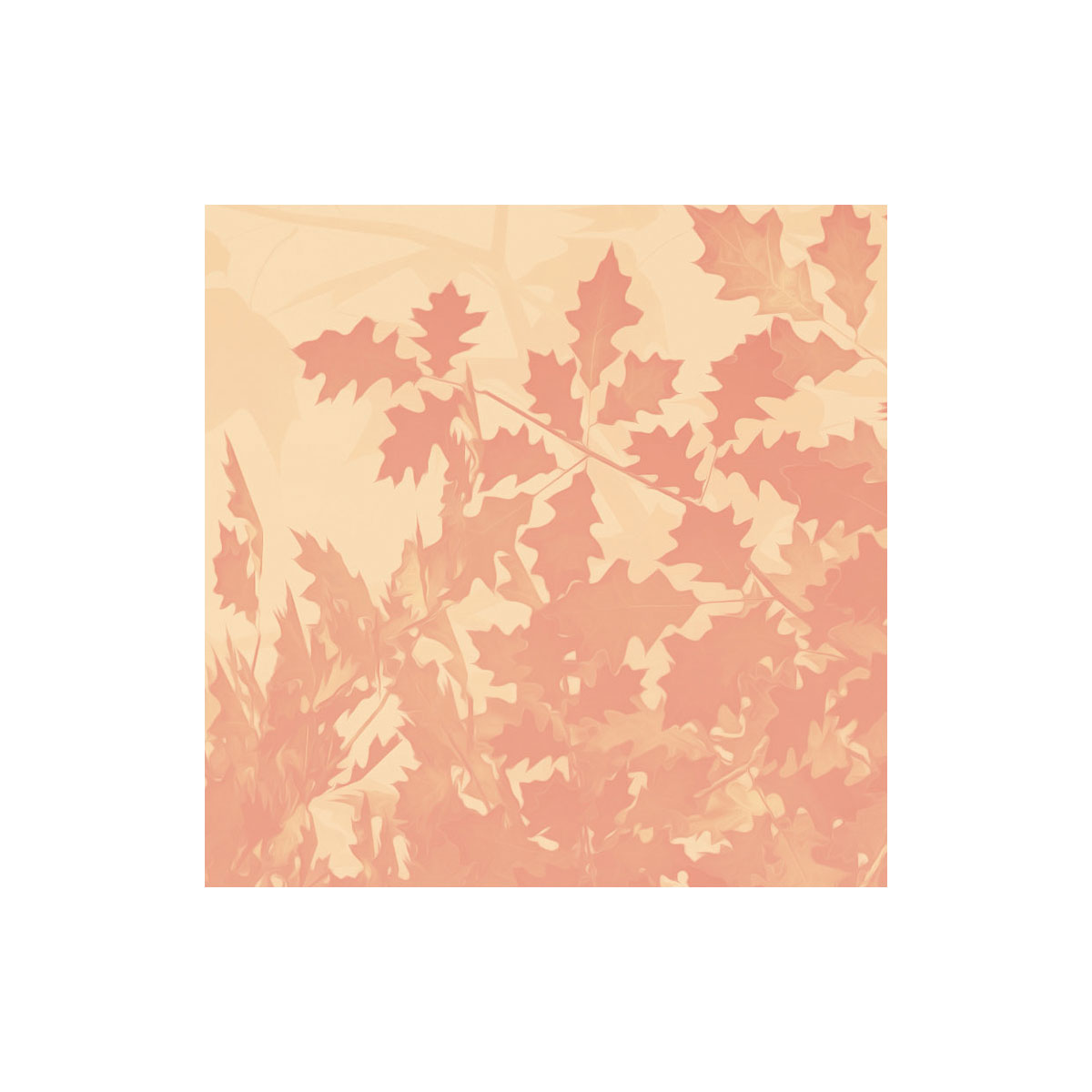 Komar  Vlies Fototapete Heartwood 400x250 cm Bild 5