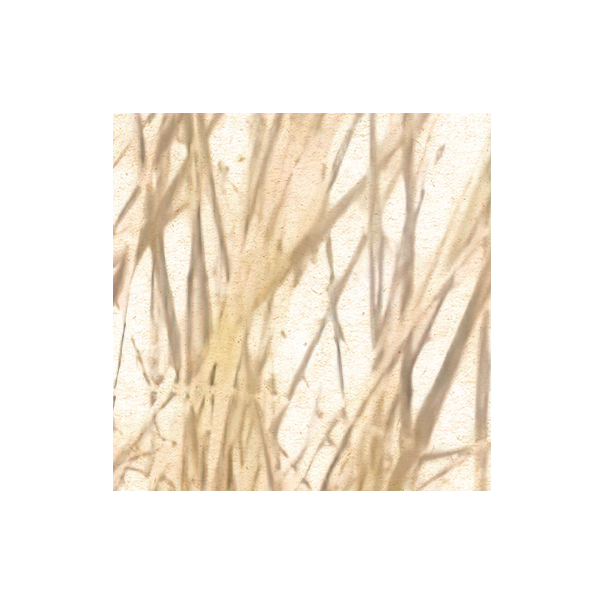 Komar  Vlies Fototapete Dune Grass 400x250 cm Bild 4