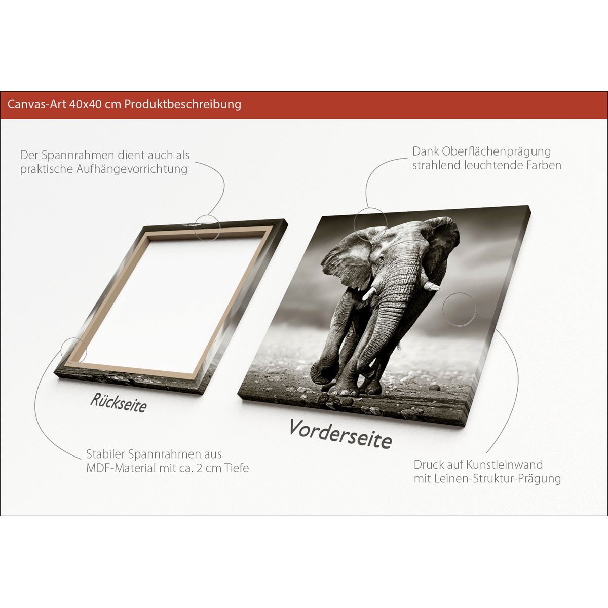 Kunstleinwand AN828N5 40 x 40 Bild 3