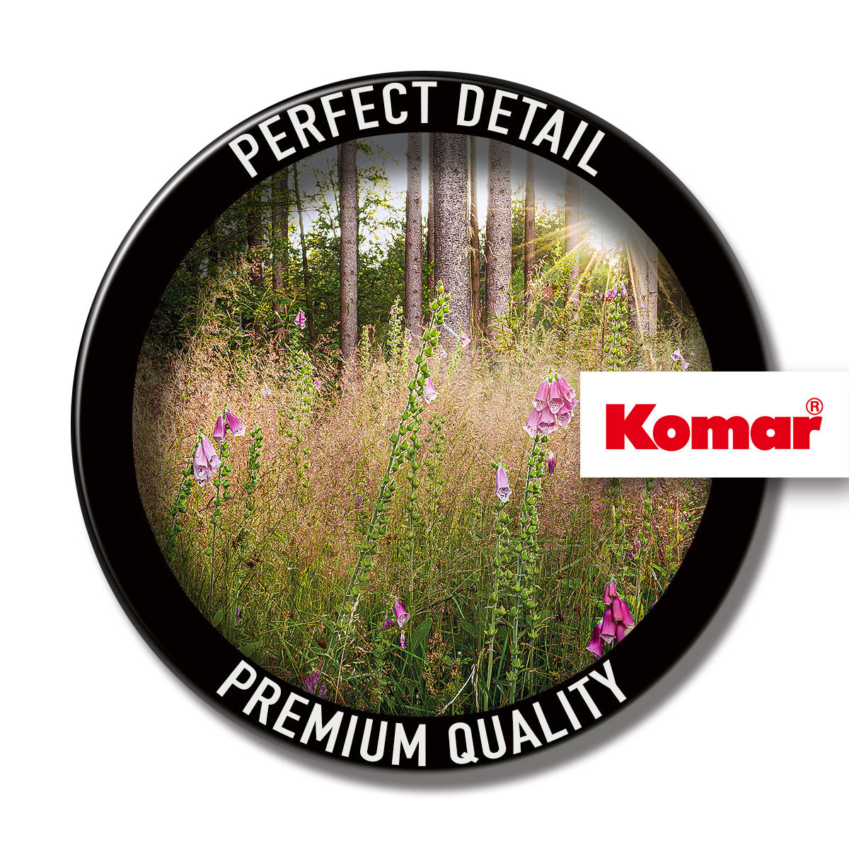 Komar  Vlies Fototapete Summer Glade 350x250 cm Bild 9