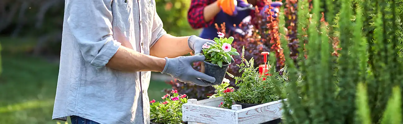 Eine Person pflanzt Blumen in Töpfen in einem Garten.