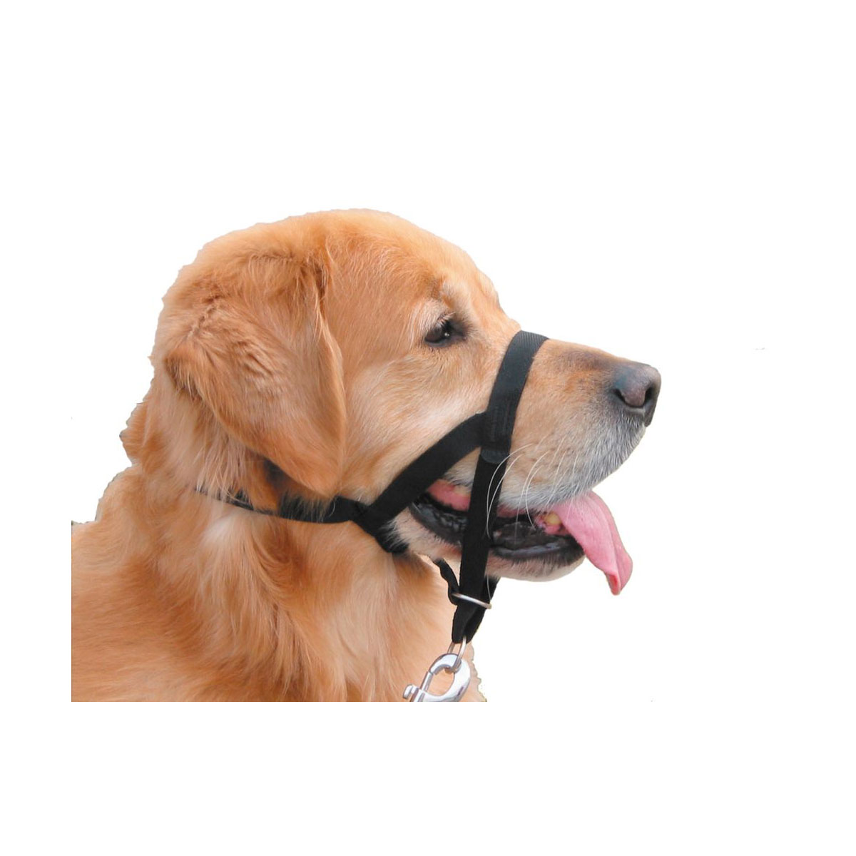 Easy Leader schwarz Größe 2