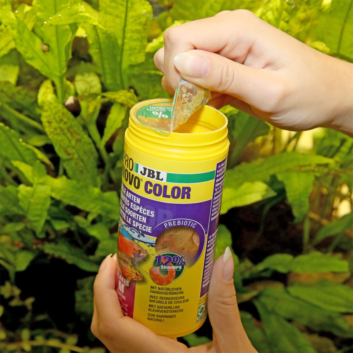 JBL  PRONOVO COLOR FLAKES M 250ml Bild 2