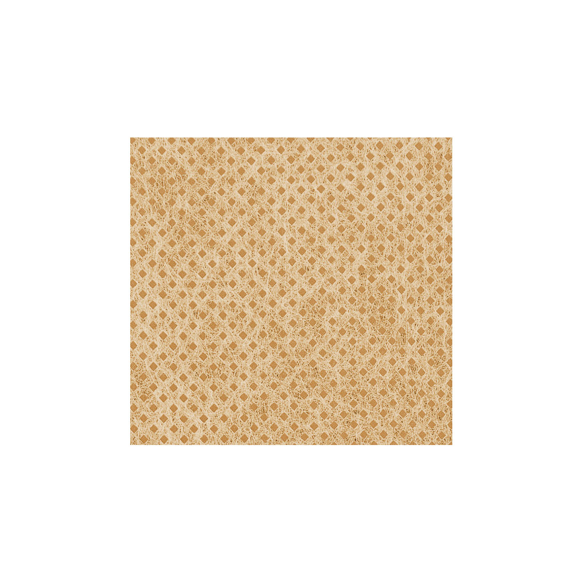 Windhager Vlieshaube Protect 1,4 x 2 m Bild 7