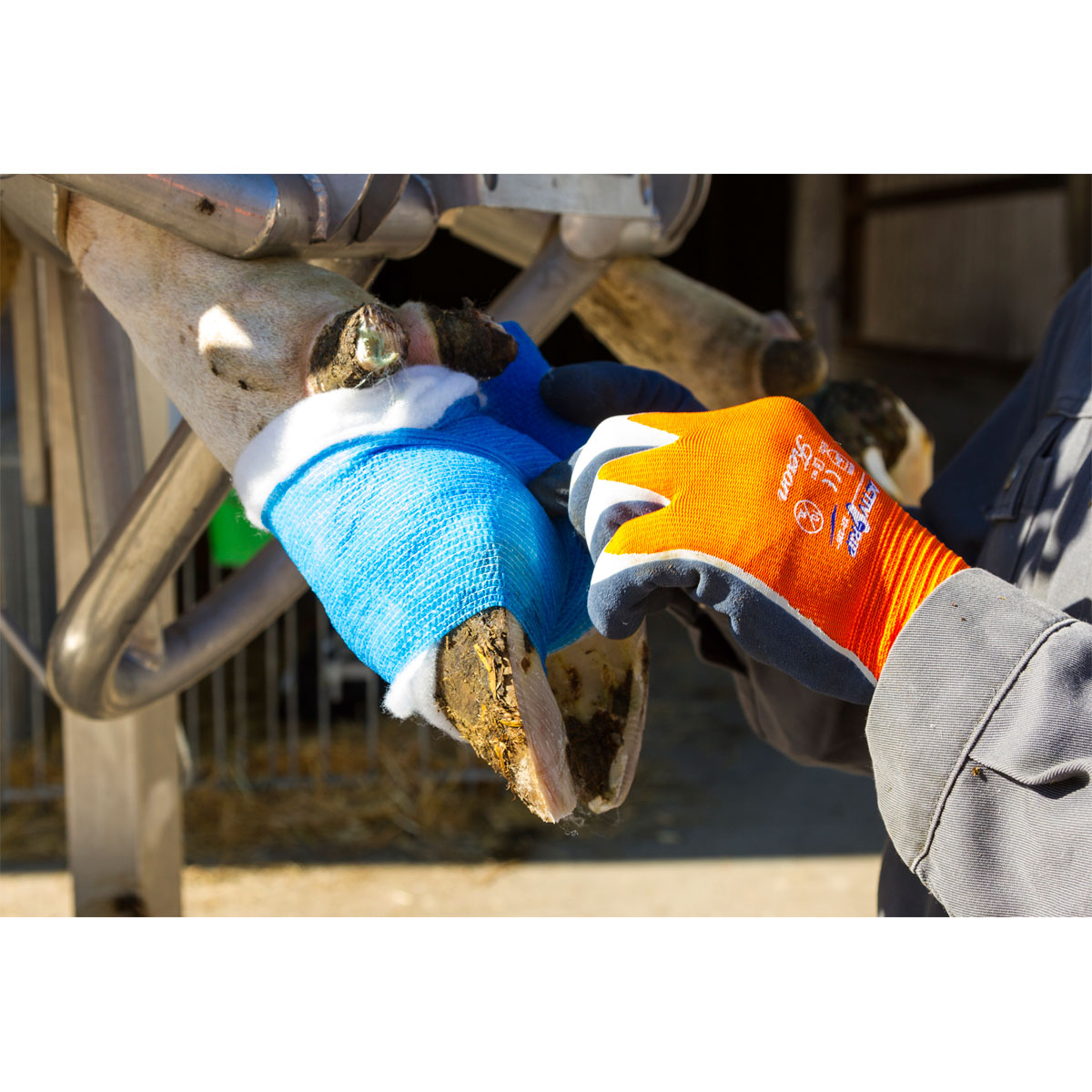 Bandage EquiLastic 10 x 450 cm blau Bild 3