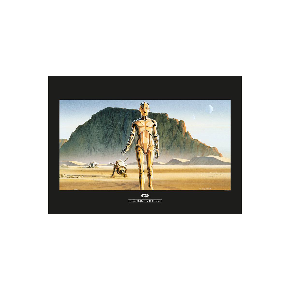 Komar  Wandbild Star Wars Classic Droids 70x50 cm Bild 2