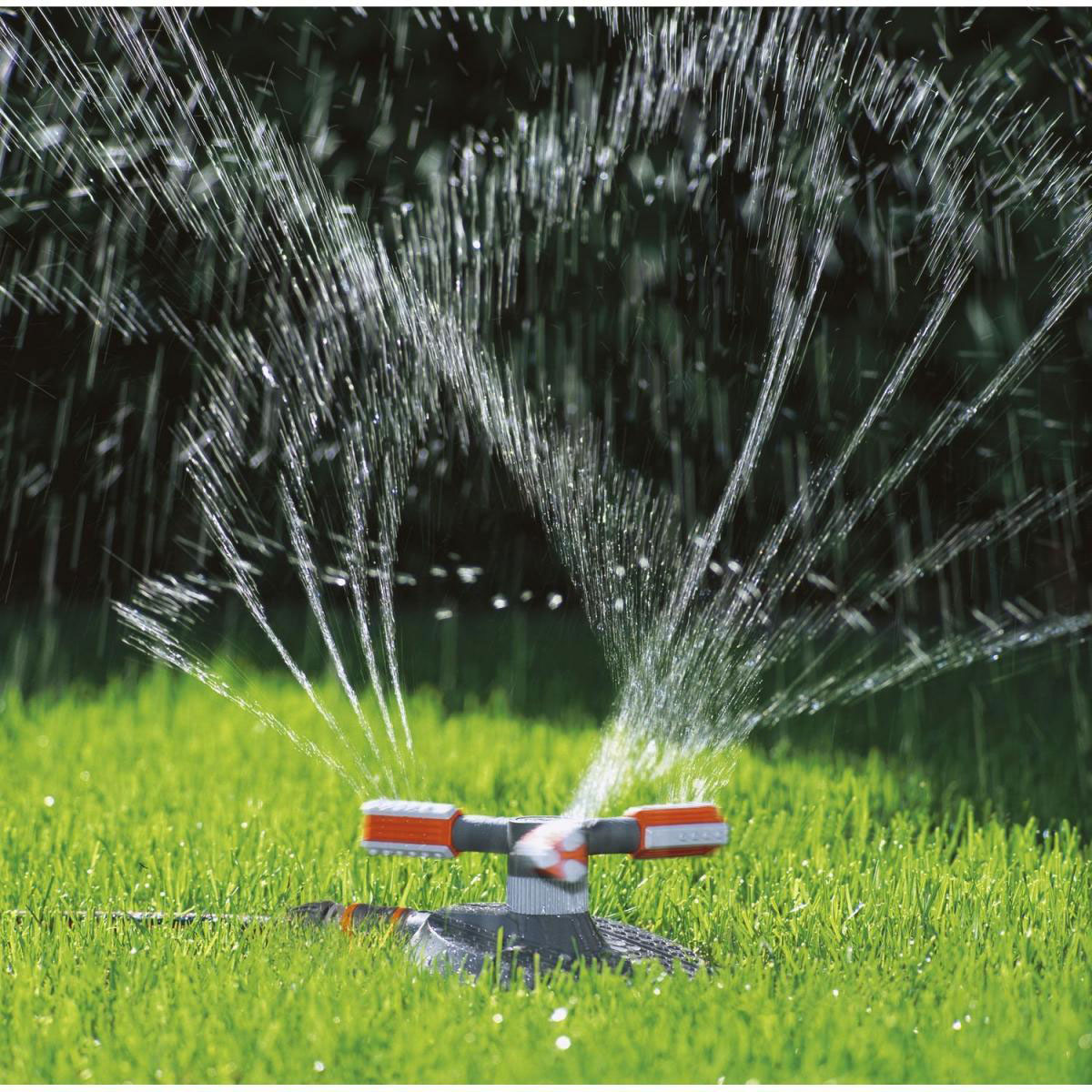 Gardena  Kreisregner Mambo Bild 2