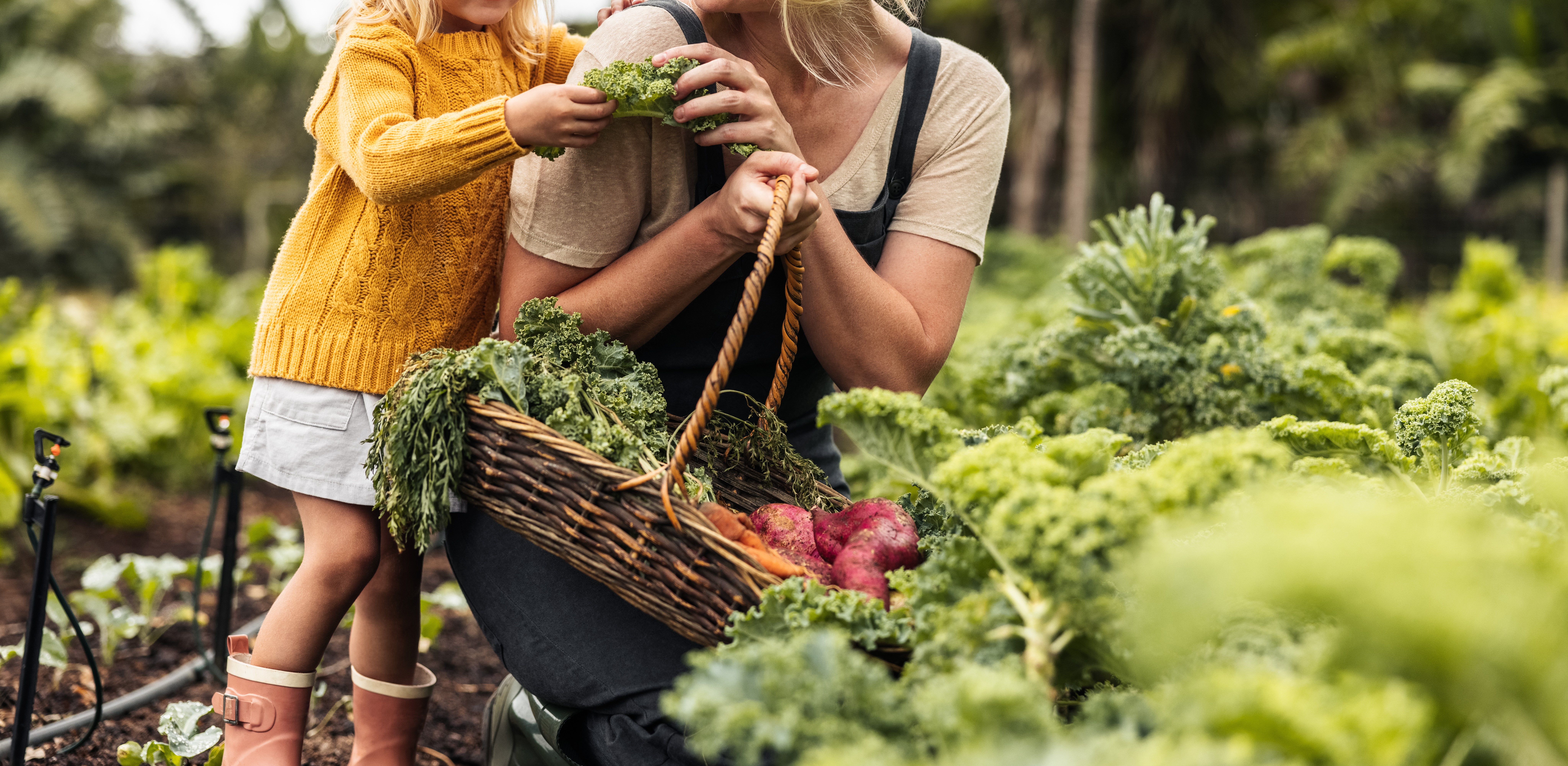 Eine Frau pflückt mit einem Kind frisches Gemüse in einem grünen Garten.