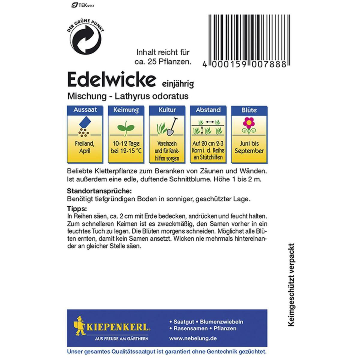 Kiepenkerl Edelwicken Mischung Bild 2