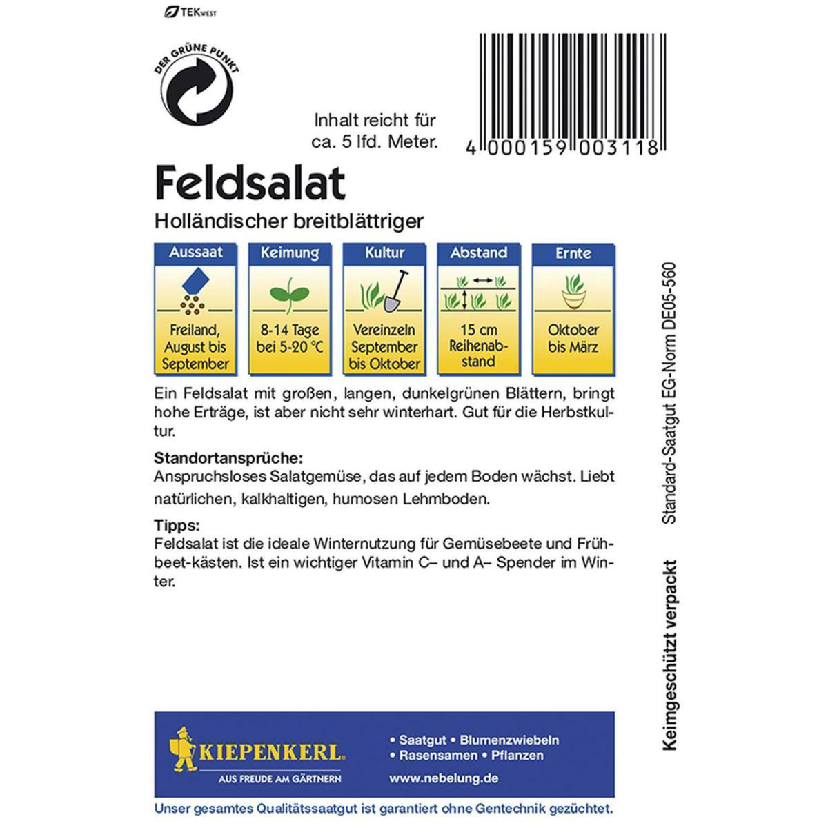 Kiepenkerl Feldsalat Holl breitblättriger Bild 2