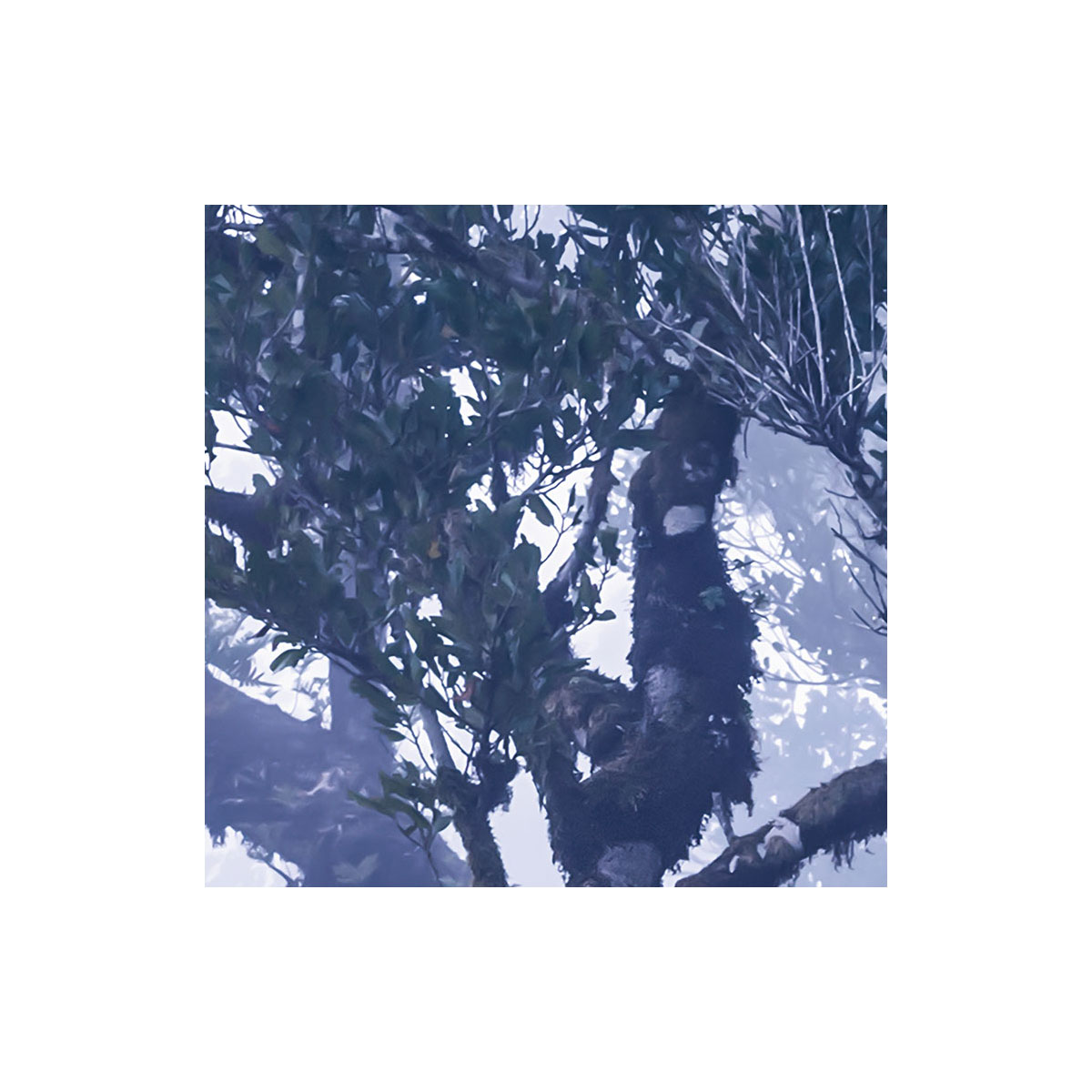 Komar  Vlies Fototapete Ghost Line 400x250 cm Bild 7