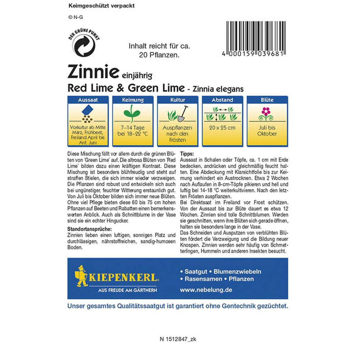 Kiepenkerl Zinnien Red Lime und Green Lime Bild 2