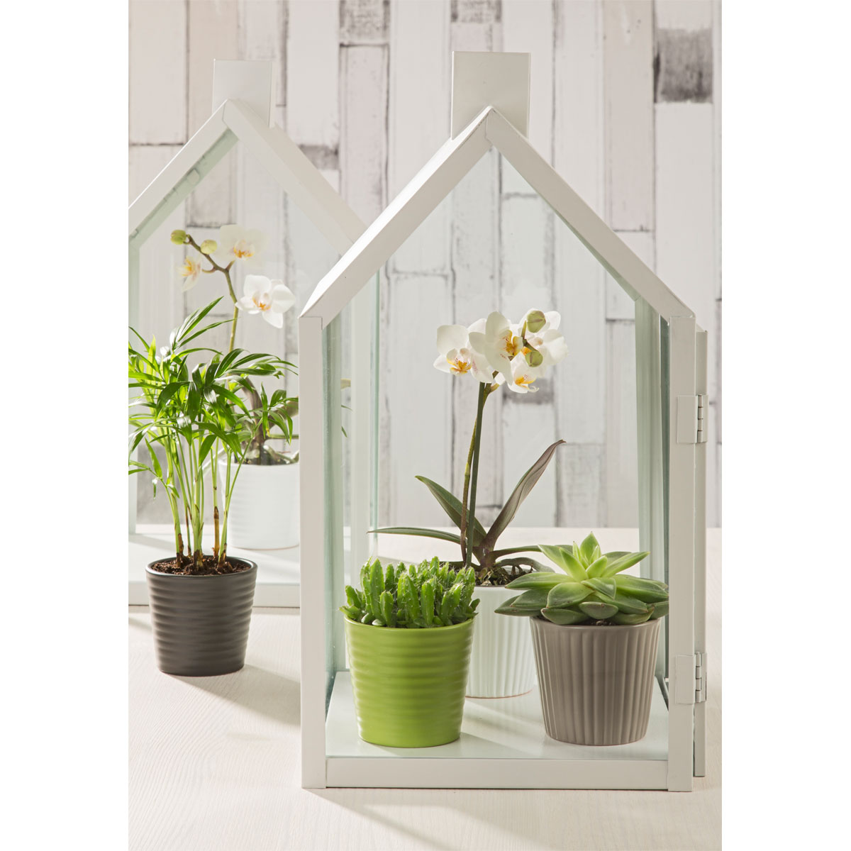 Scheurich Mini Übertopf Expressive 937 7 cm Bild 2