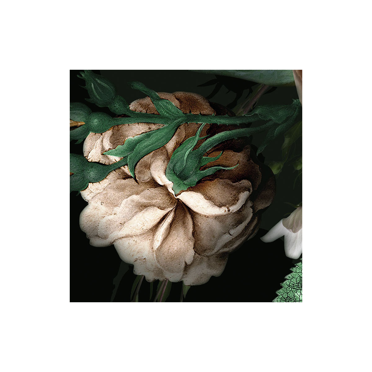 Komar  Selbstklebende Vlies Fototapete rund Flower Couture Durchmesser 125 cm Bild 3