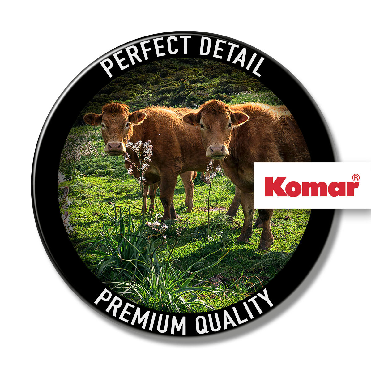 Komar  Vlies Fototapete Kuhparadies 450x280 cm Bild 9