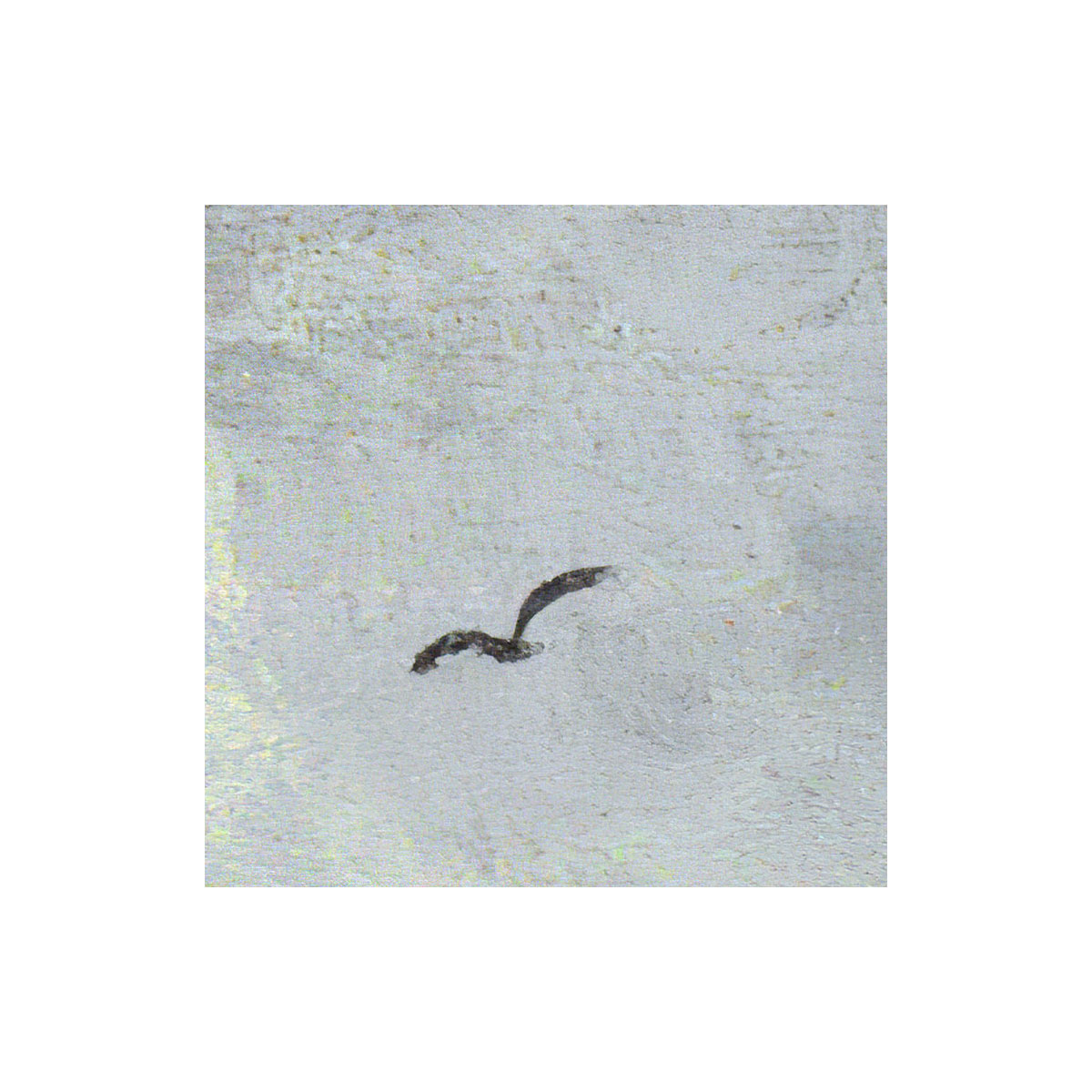 Komar  Selbstklebende Vlies Fototapete rund Simply Sky Durchmesser 125 cm Bild 3