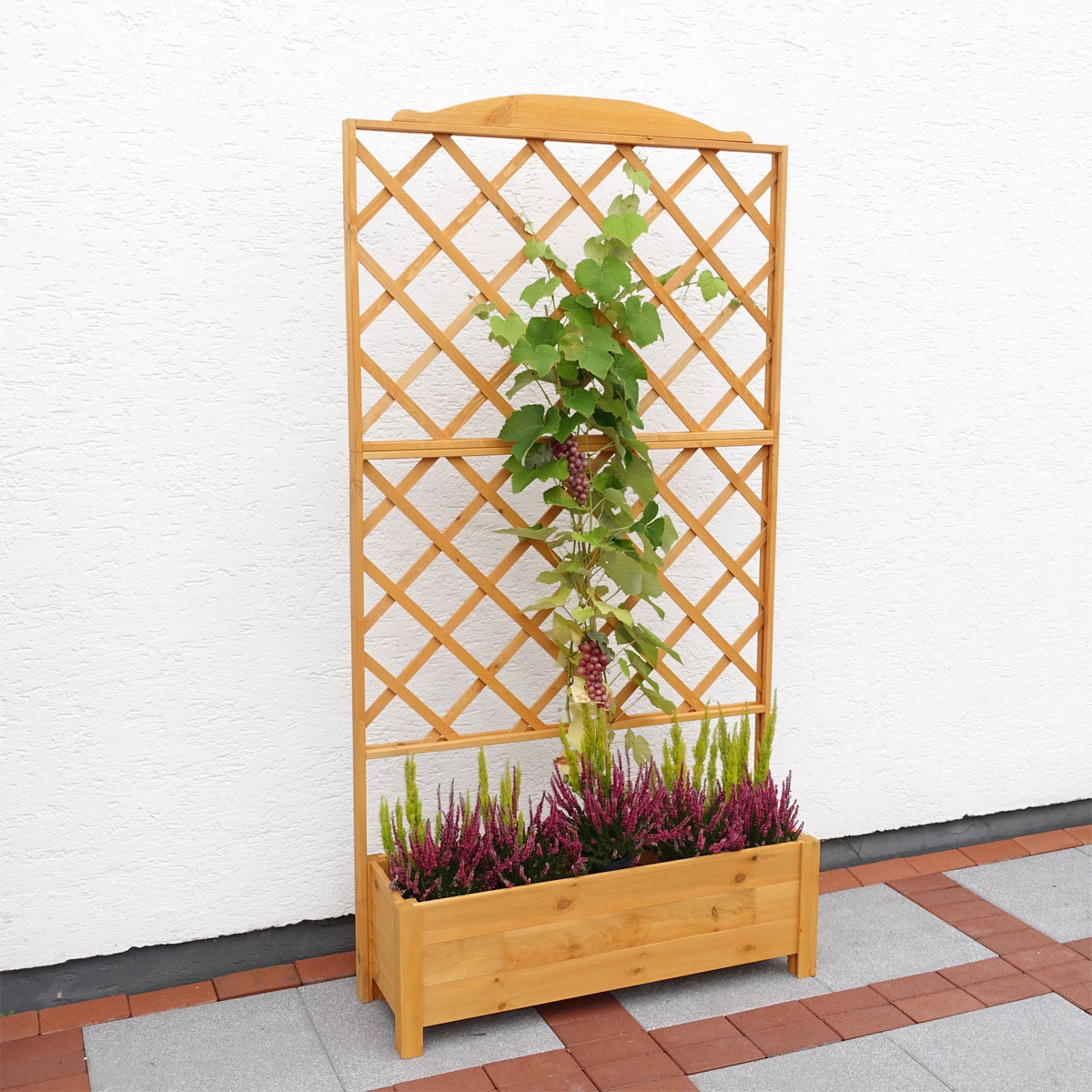 Promadino Rankkasten Botanica 110 x 210 cm Bild 3