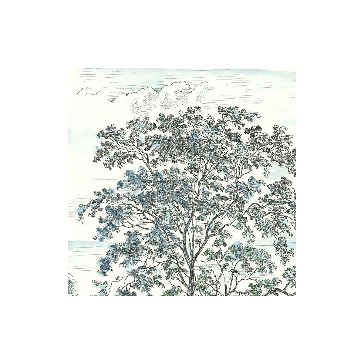 Komar  Vlies Fototapete Highland Trees 250x280 cm Bild 5