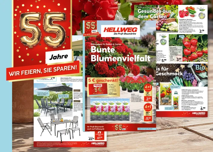Beilage: Bunte Blumenvielfalt