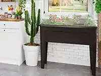 Ein Kaktus steht in einem weißen Topf neben einem dunklen Tisch in einem hellen Raum.