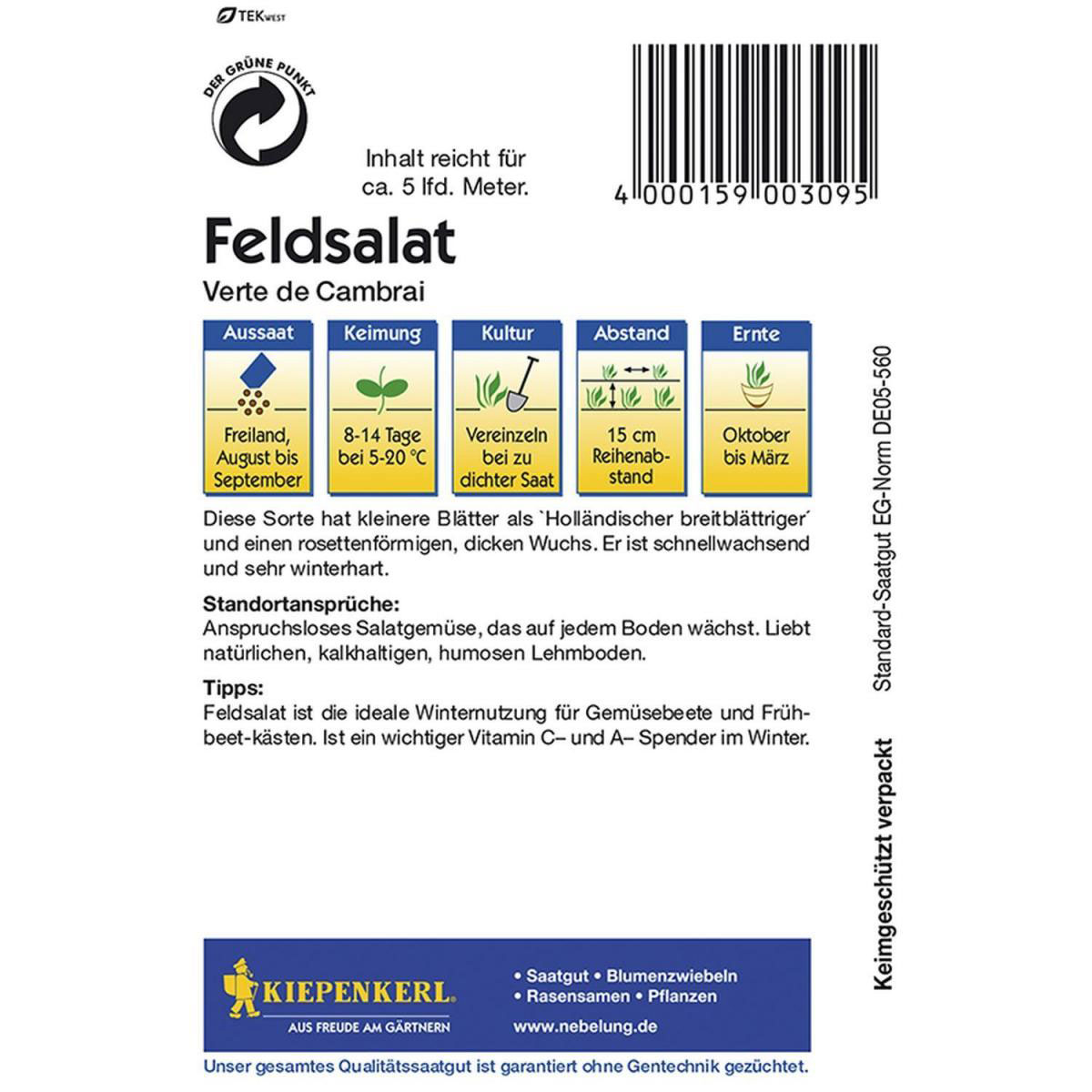 Kiepenkerl Feldsalat Verte de Cambrai Bild 2