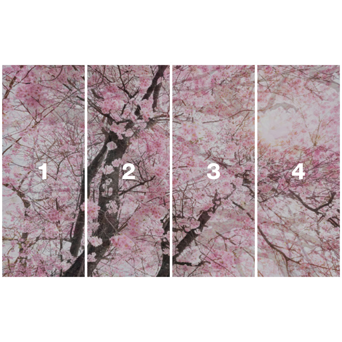 Komar  Vlies Fototapete Bloom 400x250 cm Bild 3