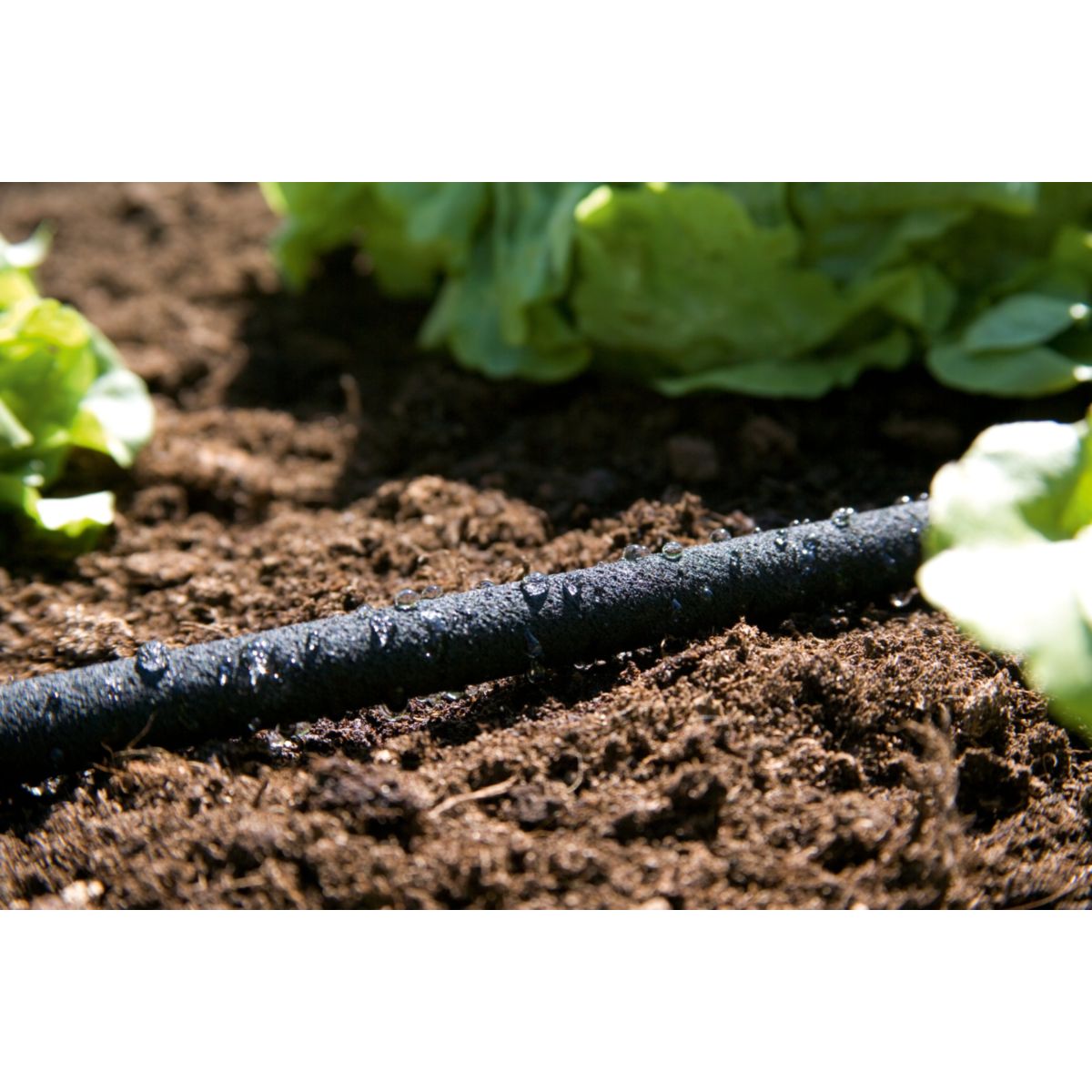 Gardena Perl-Regner 15m Bild 2