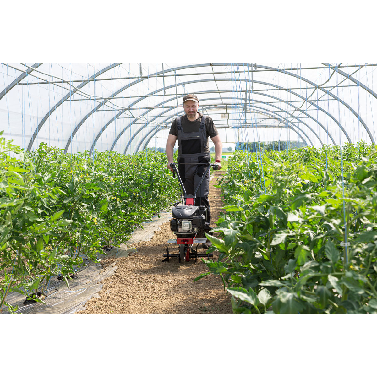 AL-KO  Benzin-Motorhacke MH 360 Easy Bild 3