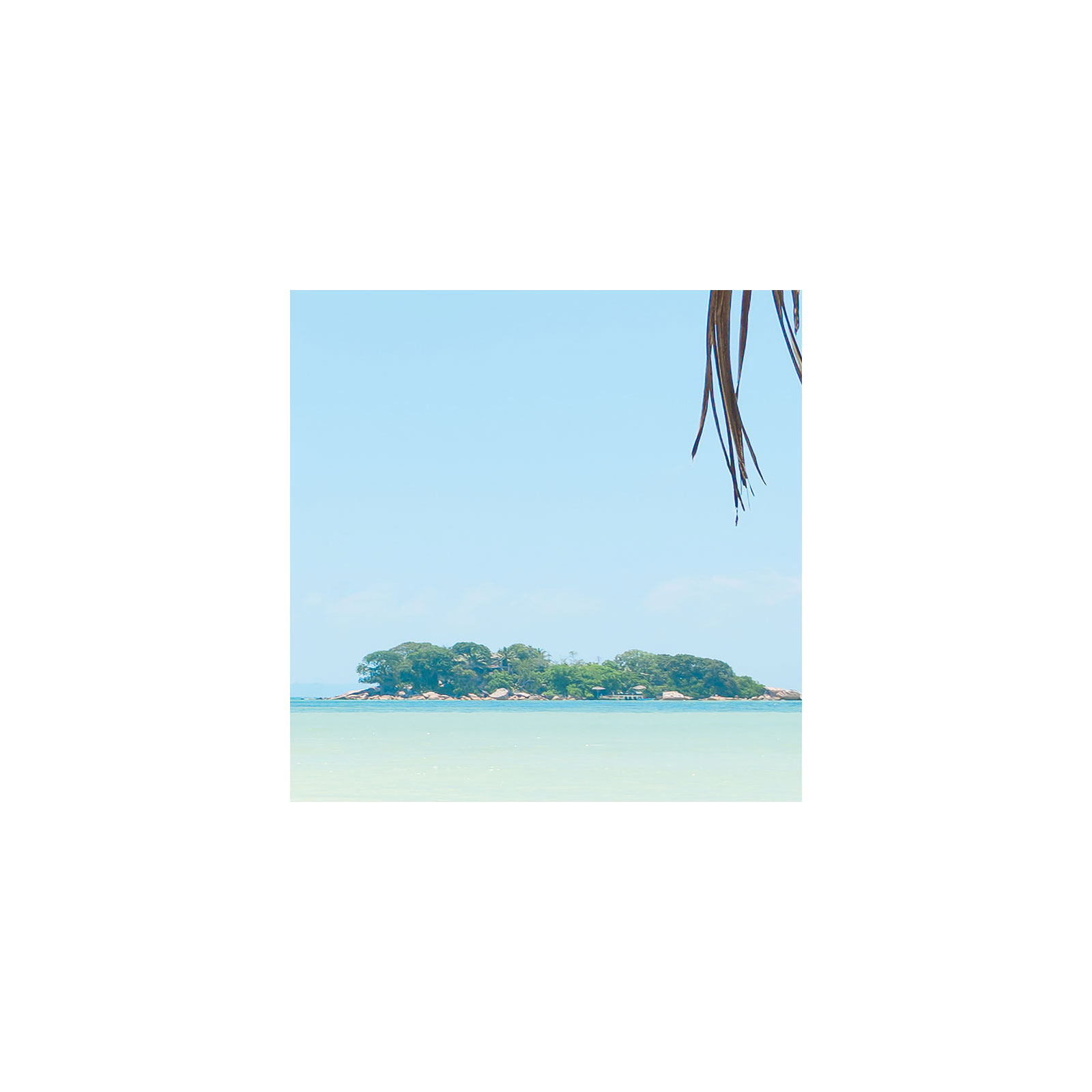 Komar  Vlies Fototapete Under The Palmtree 200x250 cm Bild 8