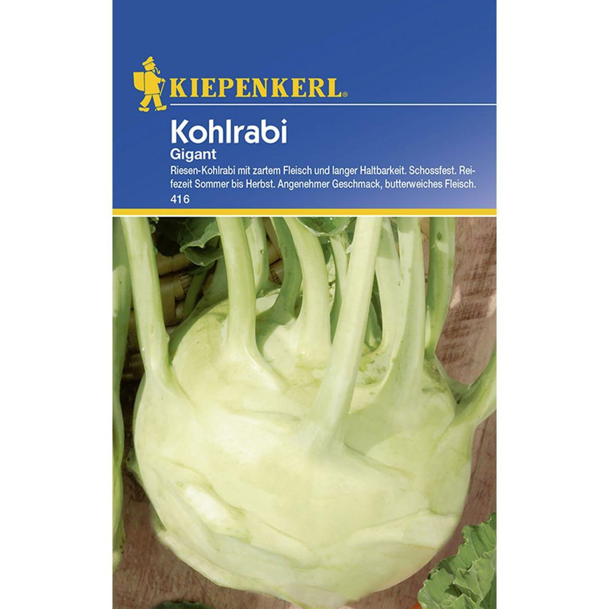 Kiepenkerl Kohlrabi Gigant