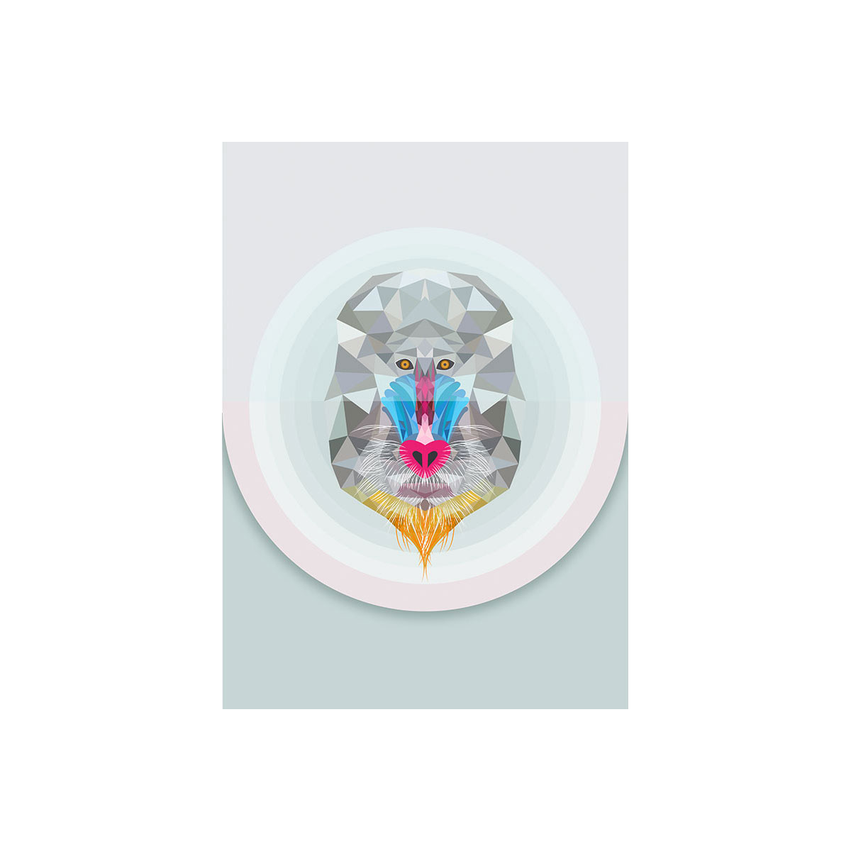 Komar  Wandbild Baboon 40x50 cm Bild 2