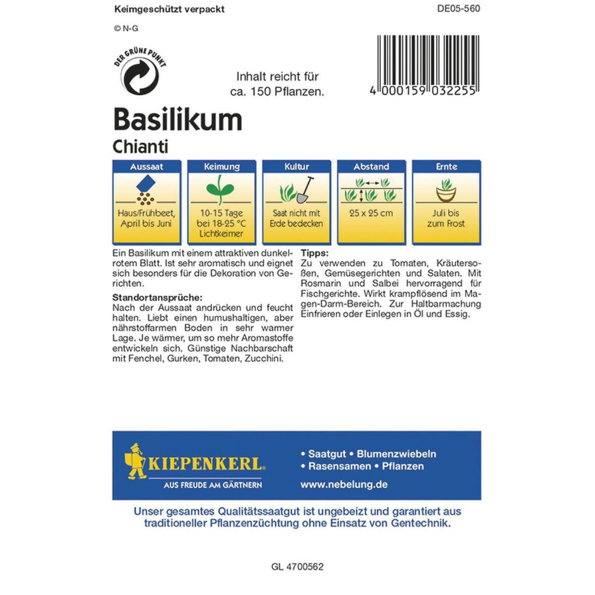 Kiepenkerl Basilikum Chianti rotblättrig einjährig Profi-Line Bild 3