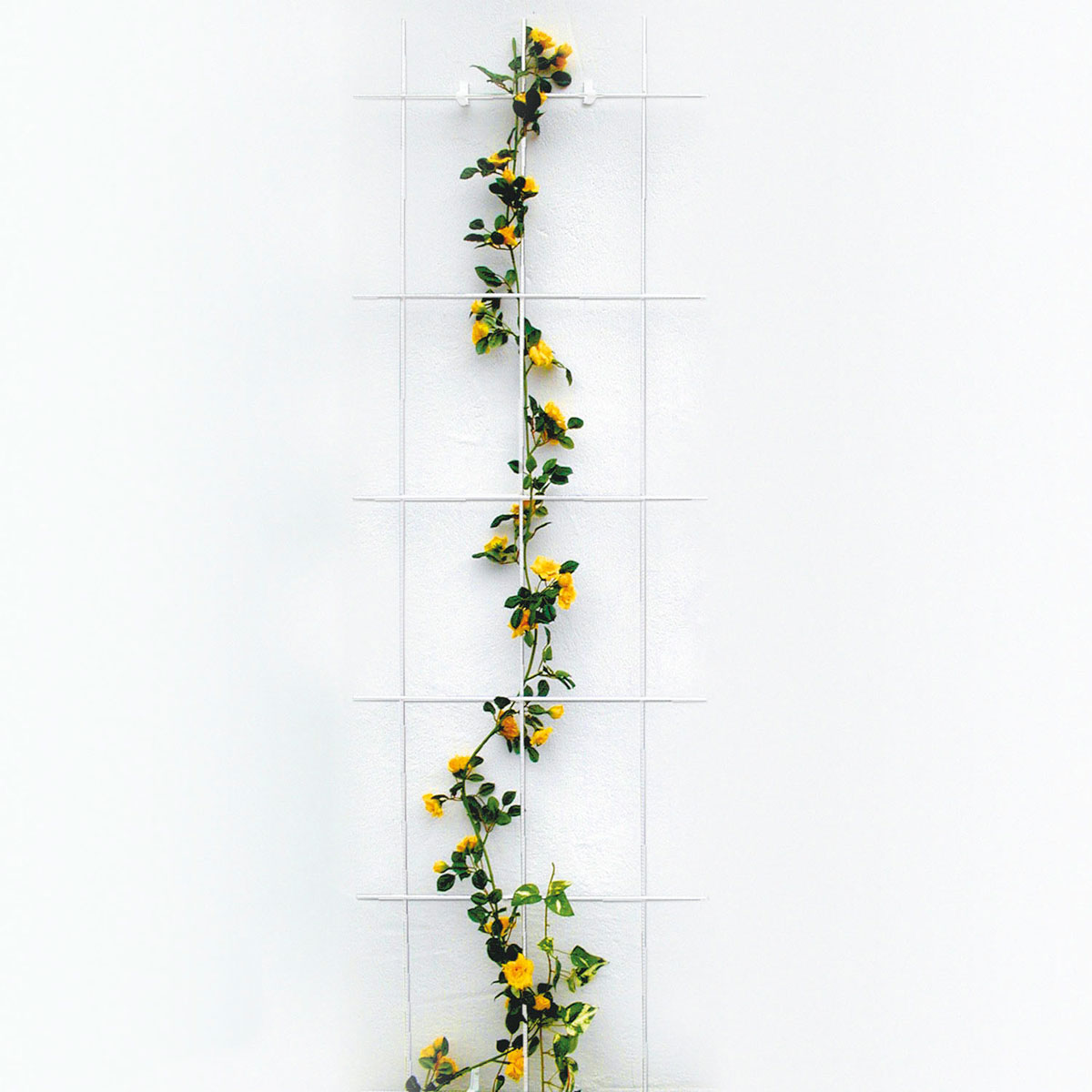 Spalier 3- strebig weiß Bild 1