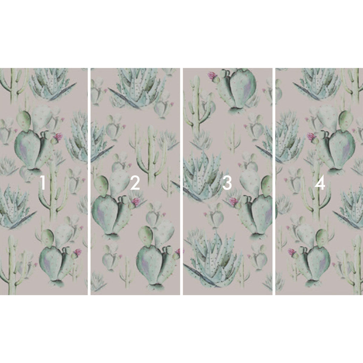 Komar  Vlies Fototapete Cactus Rose 400x250 cm Bild 3