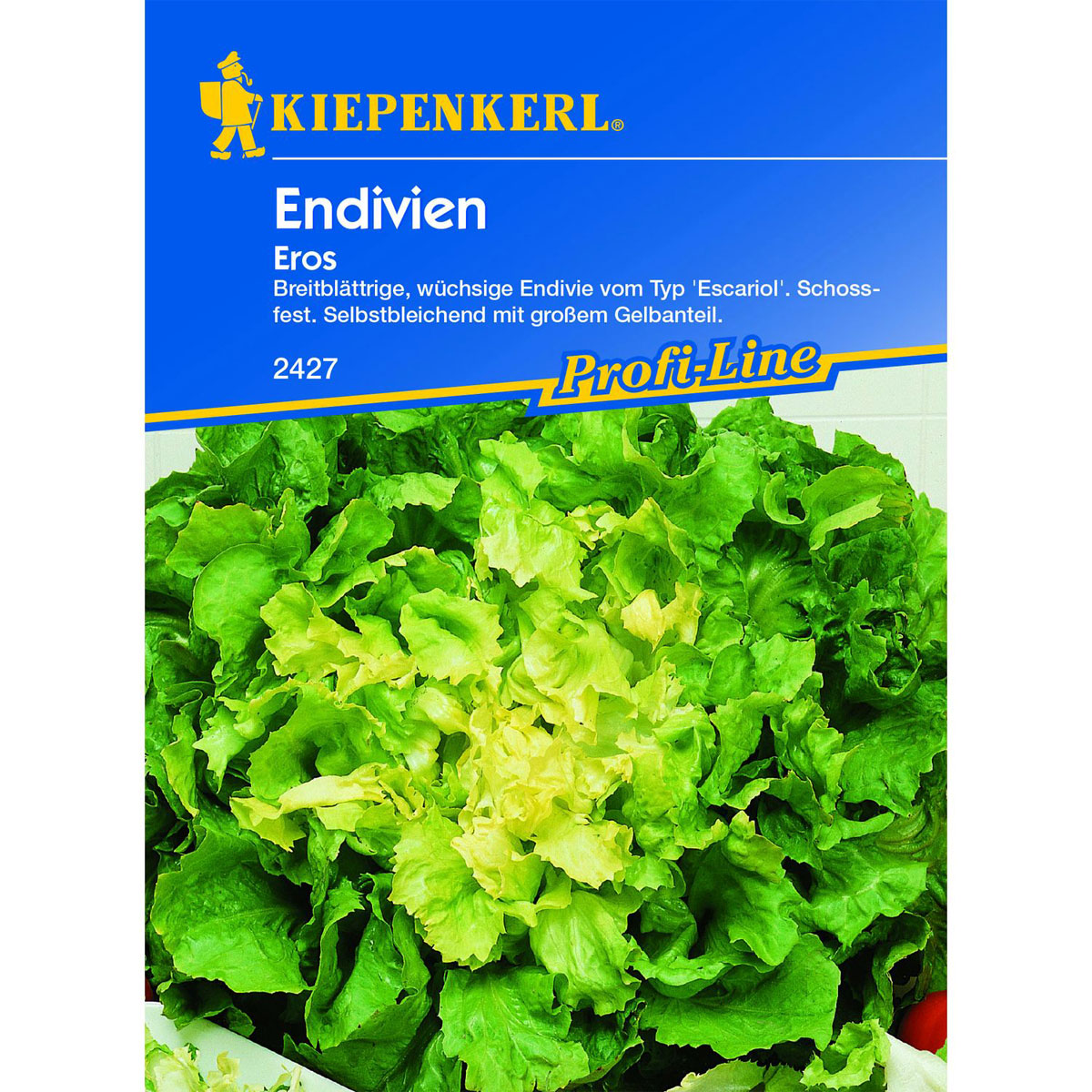 Kiepenkerl Endivien Eros