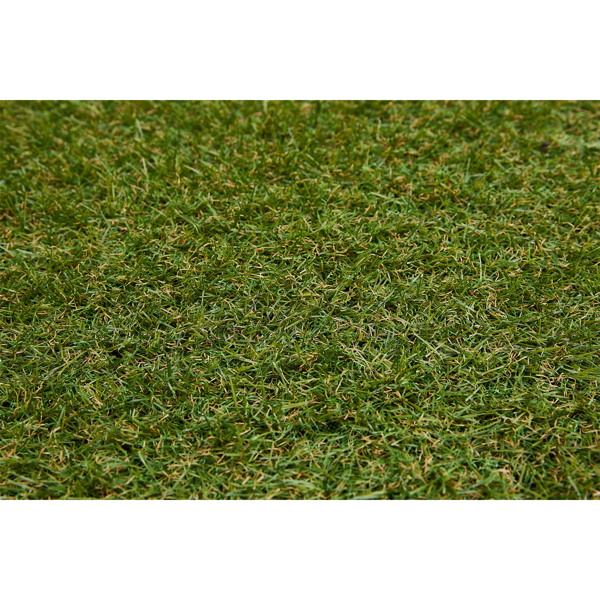 Kunstrasen Chill 300 x 200 cm Bild 4