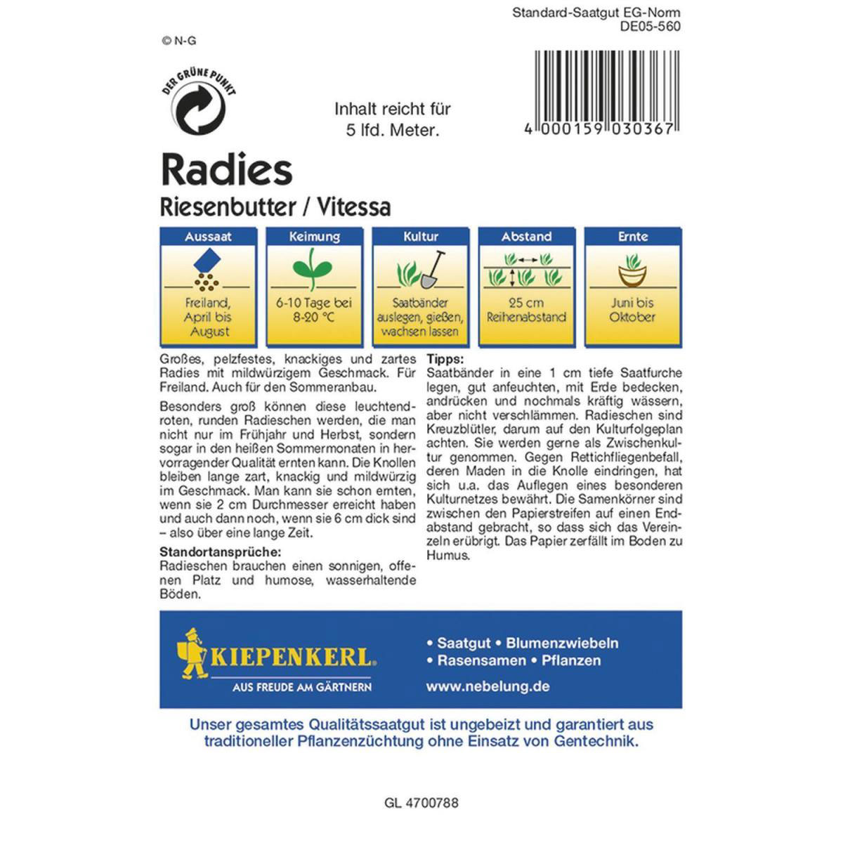 Kiepenkerl Radieschen Vitessa - Saatband Profi-Line Bild 2