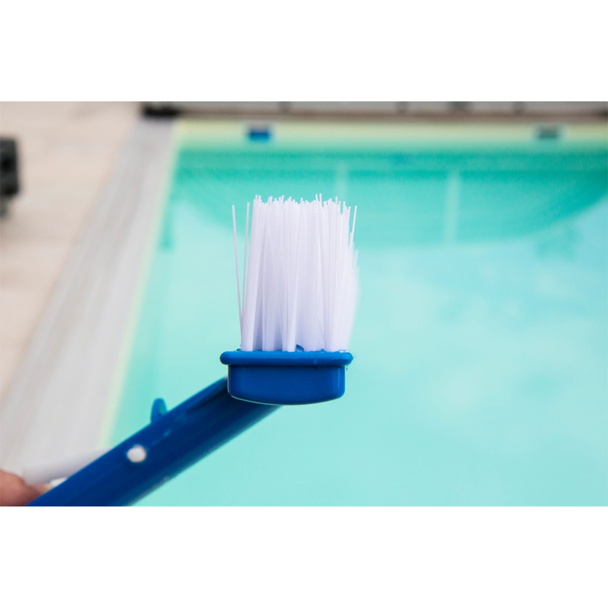 Beckenbürste Kurz Bild 3