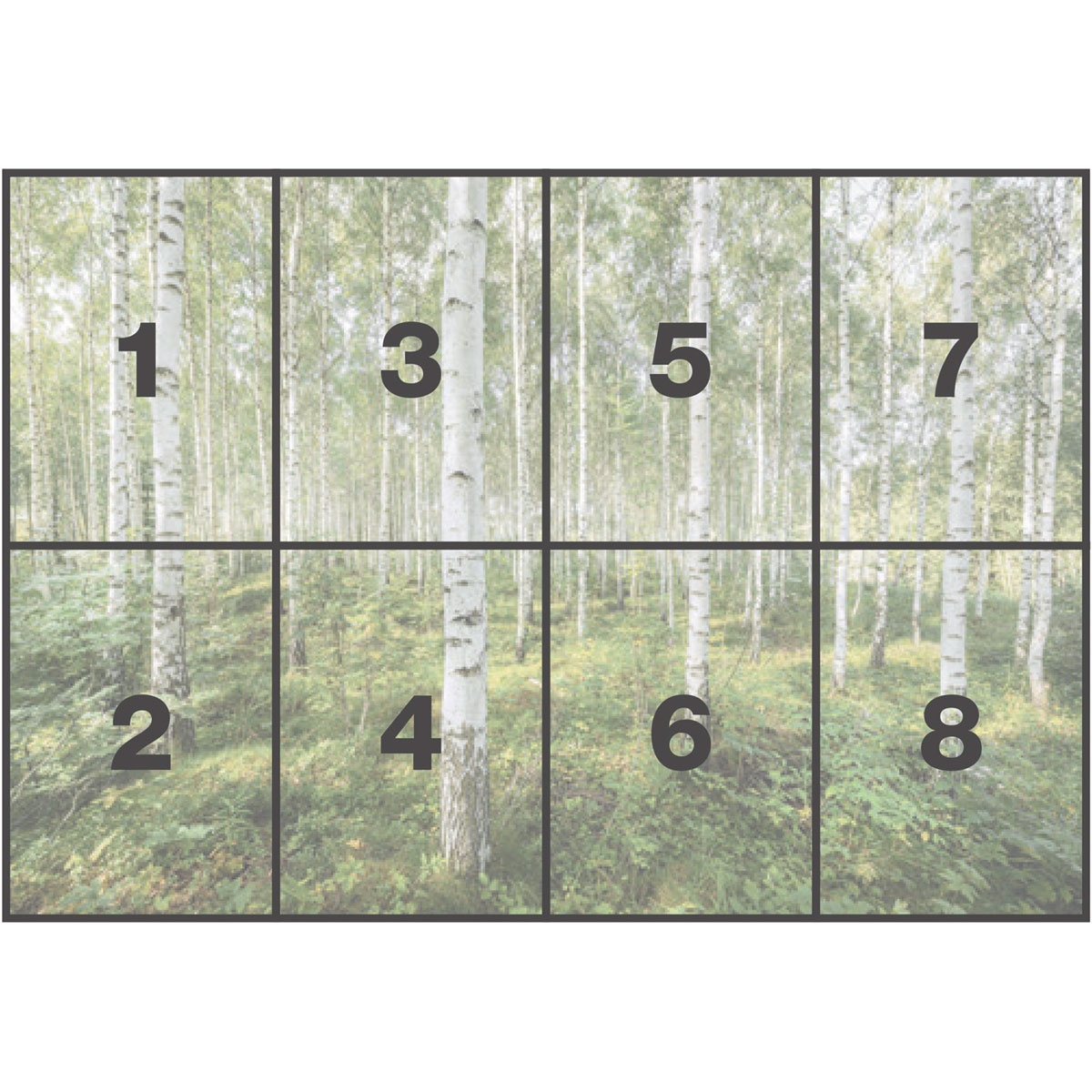 Komar  Papier Fototapete Sunny Day 368x254 cm Bild 3