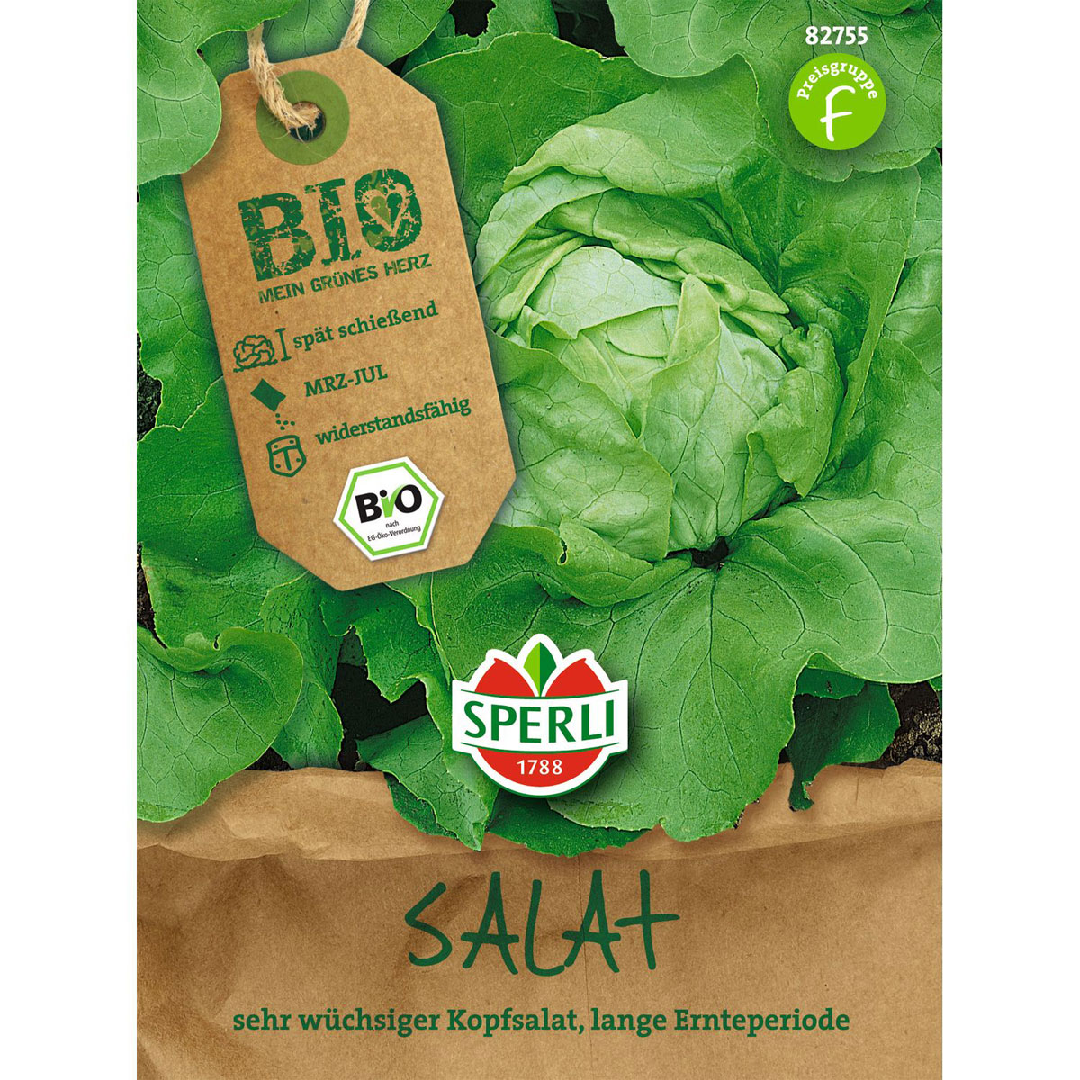 Bio-Kopfsalat Bild 1