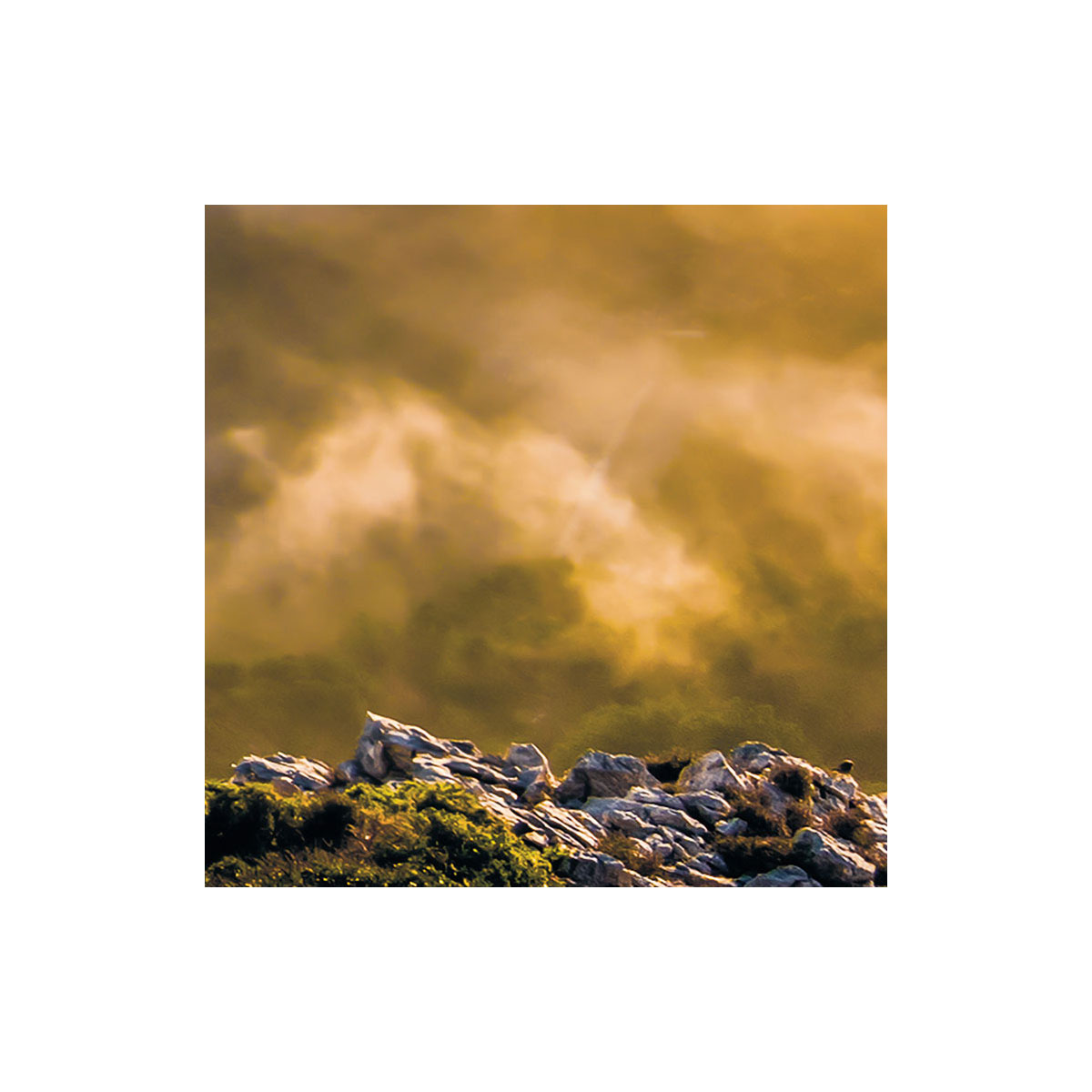 Komar  Vlies Fototapete Soul of Light 400x250 cm Bild 6